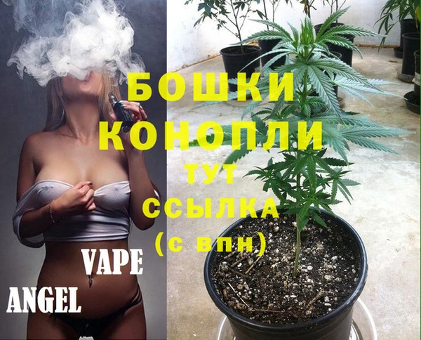 МДПВ Михайловка