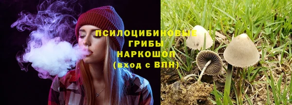 spice Михайлов