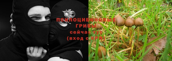 меф Медногорск