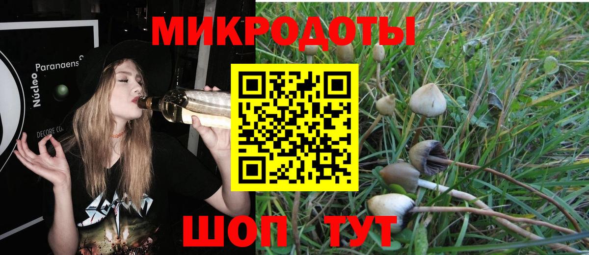 Псилоцибиновые грибы прущие грибы  как найти наркотики  Вход с VPN  Протвино  Галлюциногенные грибы мицелий 